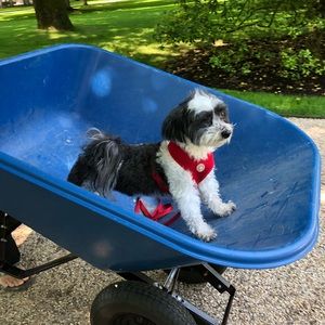 Meet your Posher, Juvy